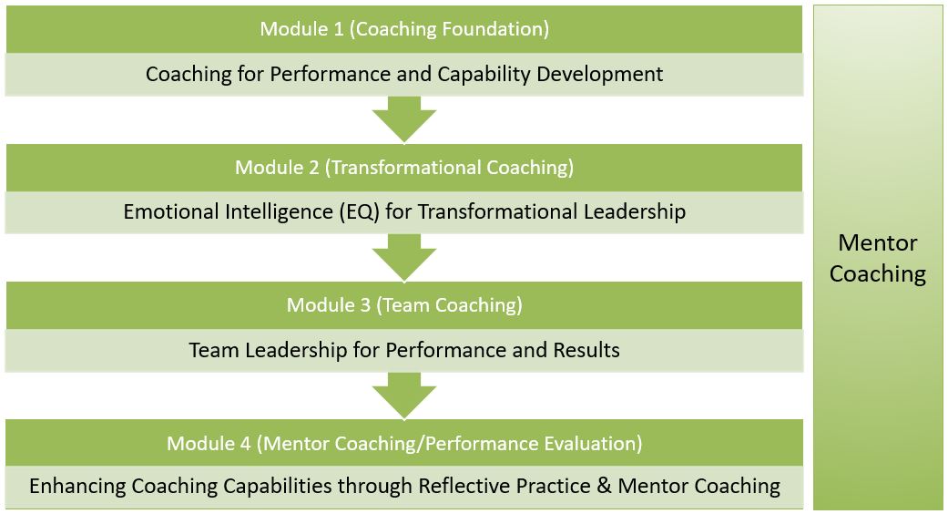 Certified Performance Leadership Coach Program