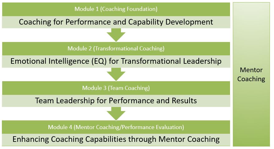 Certified Performance Leadership Coach Program