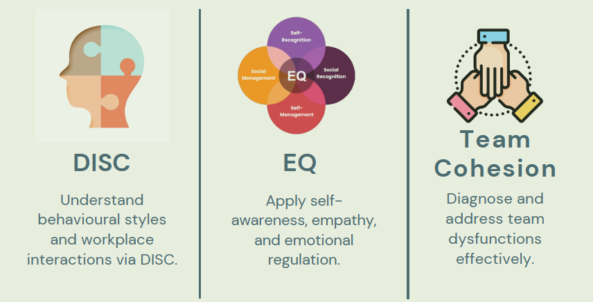 EQ cum DISC Assessment1